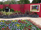 image-gallery