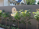 image-gallery