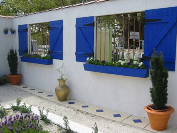 displayed image