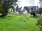 image-gallery