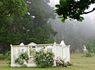 image-gallery