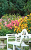 image-gallery